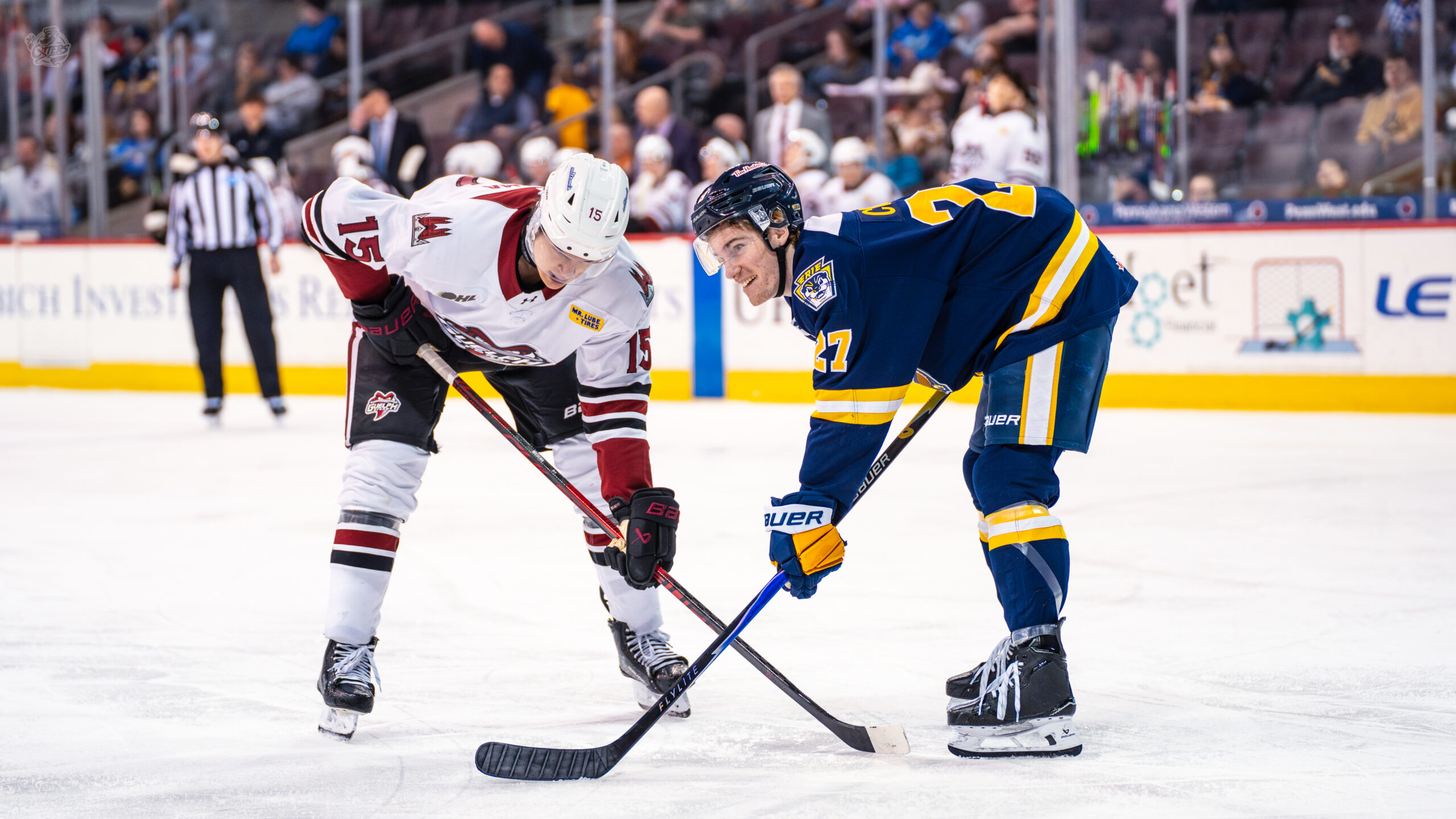 Otters vs Storm