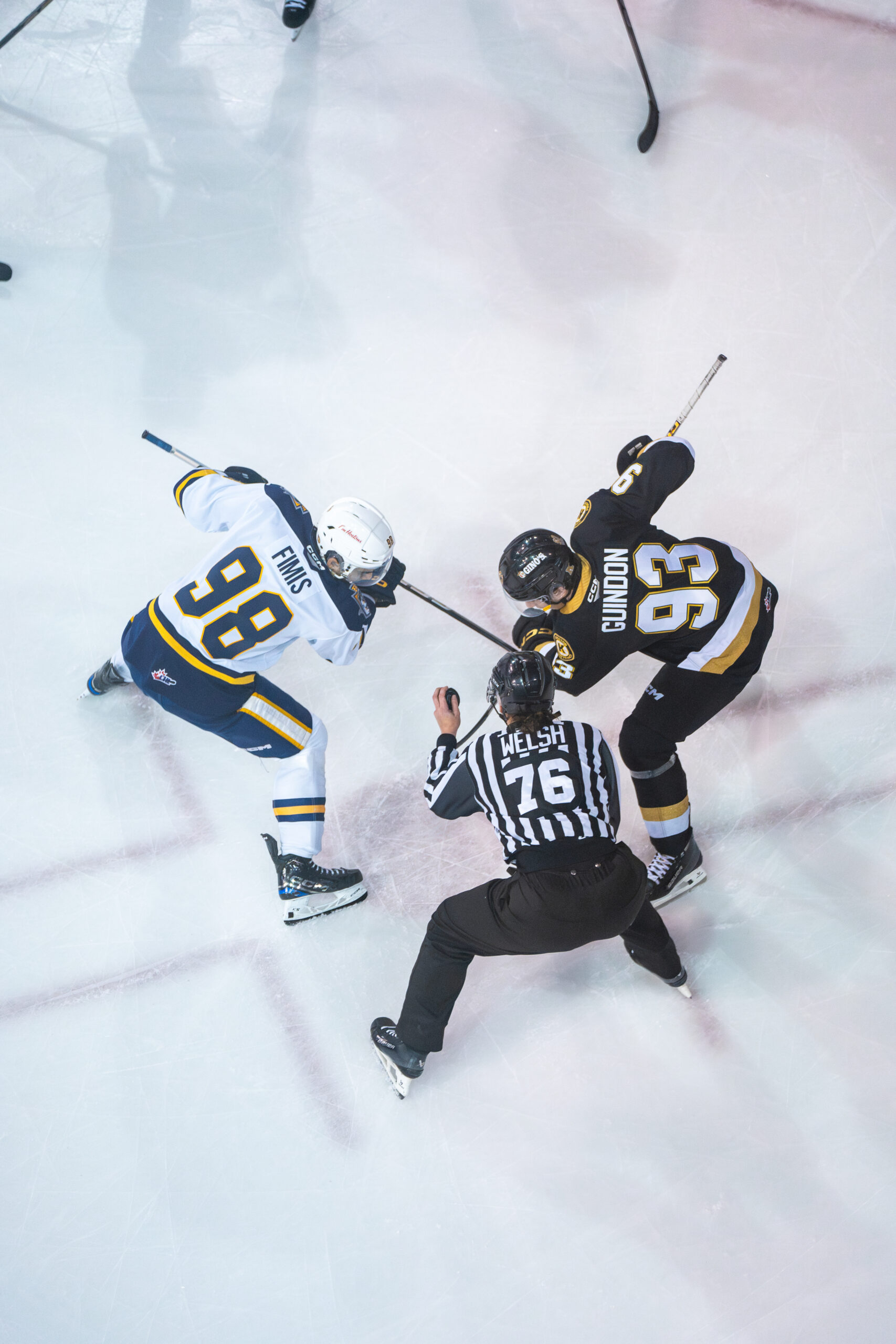 Otters vs Knights