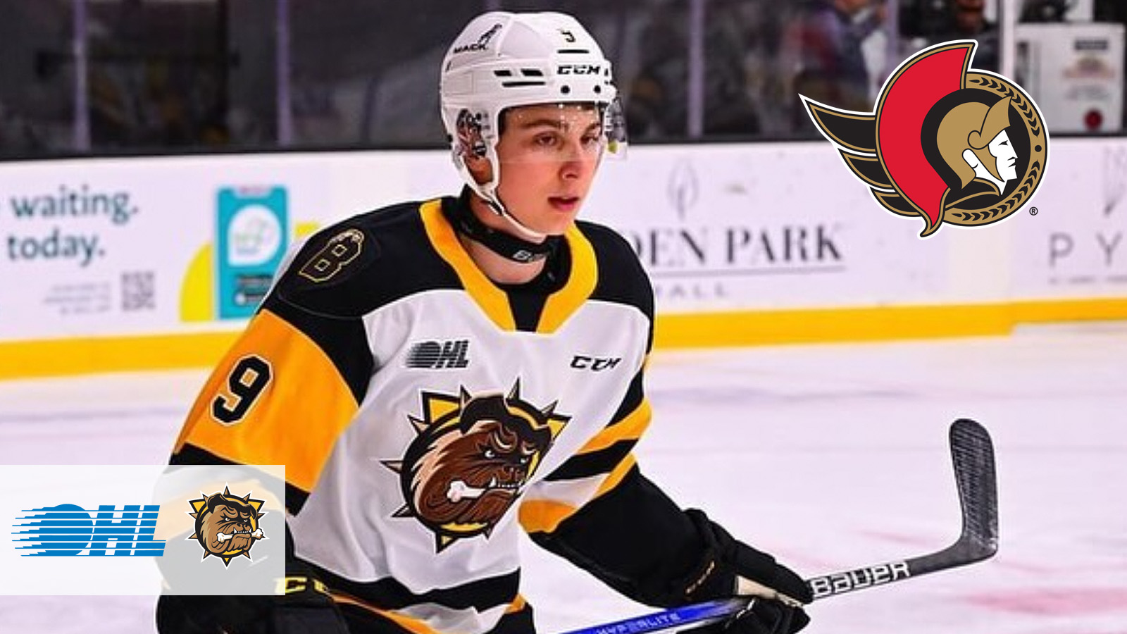 Oct25HamaraBFDTwitter