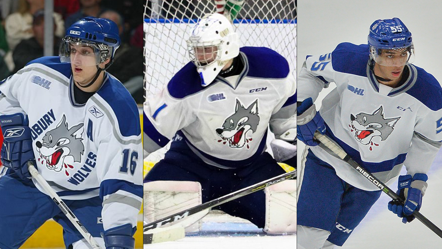 Explore the OHL: Sudbury Wolves - Ontario Hockey League