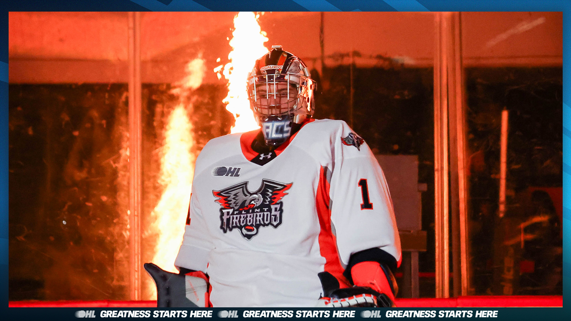 vaccari 2025-26-Generic_Web_Cover