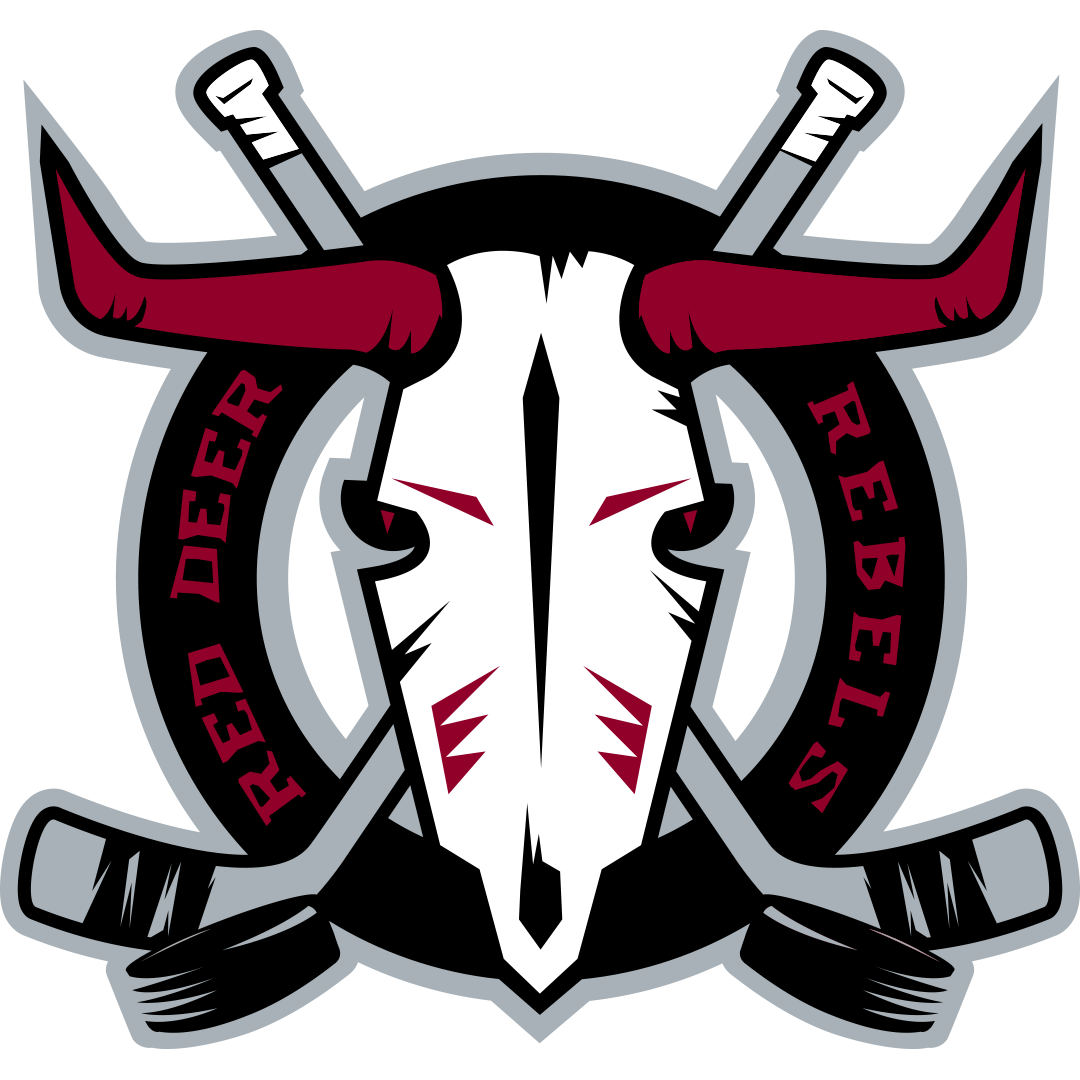 Raiders Logo