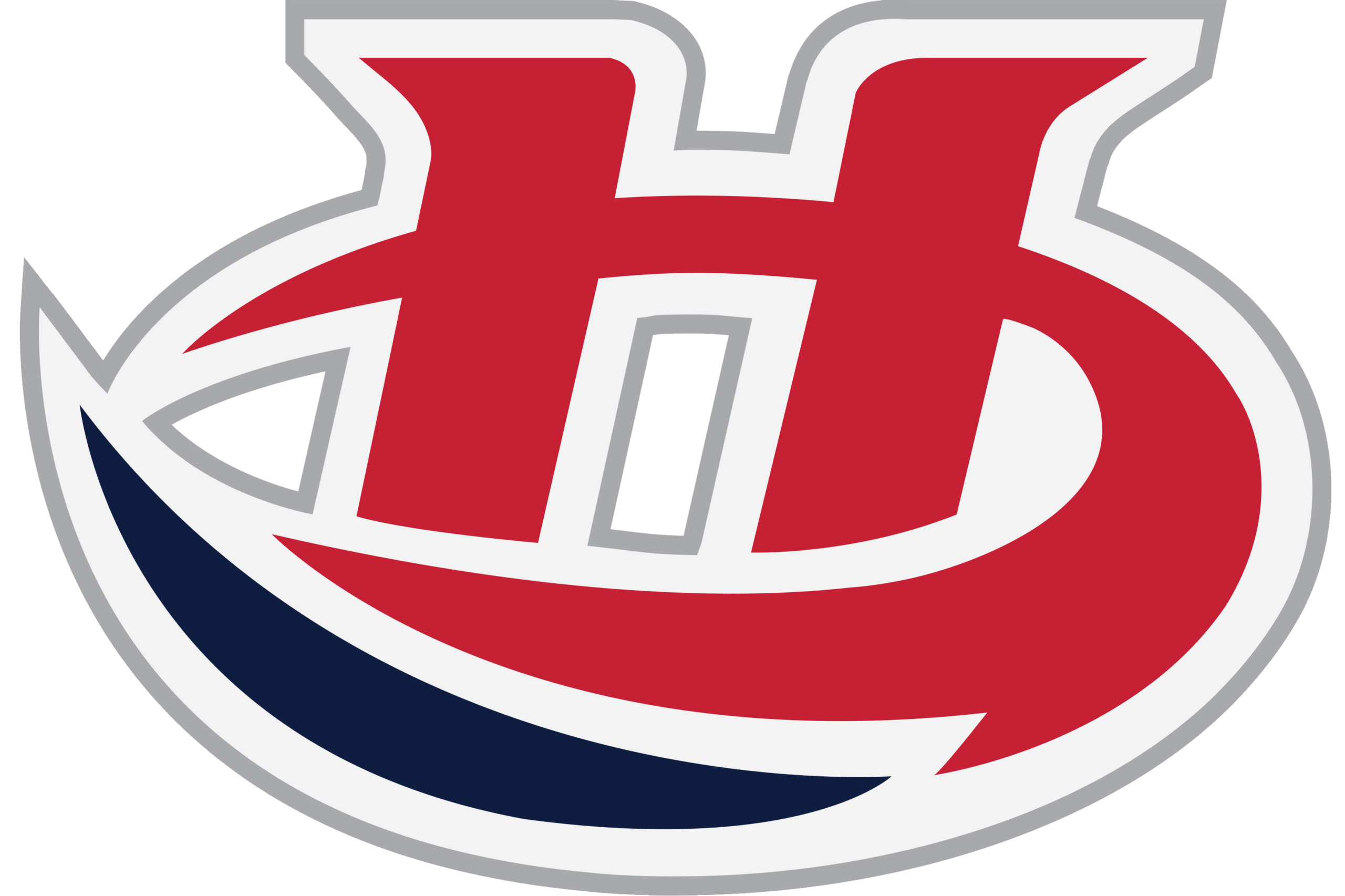 Raiders Logo