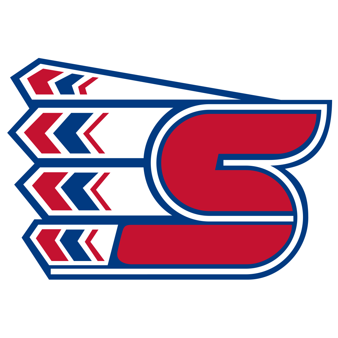 Raiders Logo