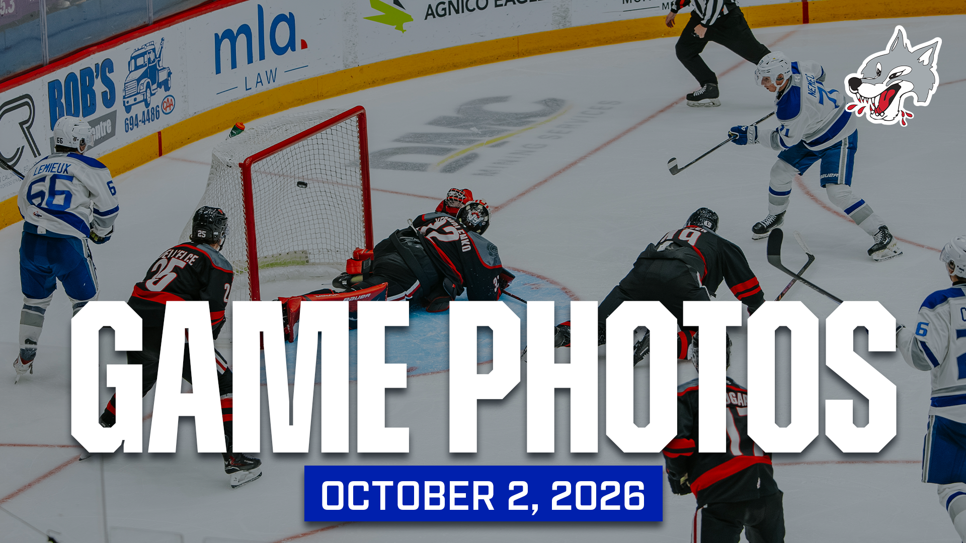 Text: Game Photos - October 2, 2026 Image: Adam Nemec scoring his first goal of the season against the Niagara IceDogs.