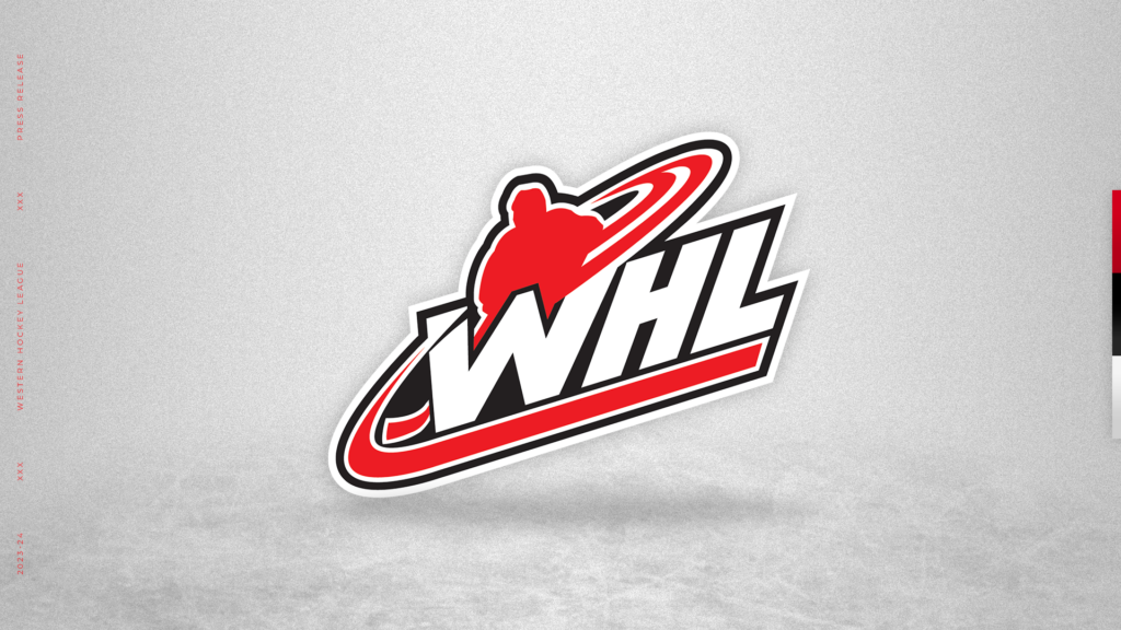 Как установить whl. Как установить whl