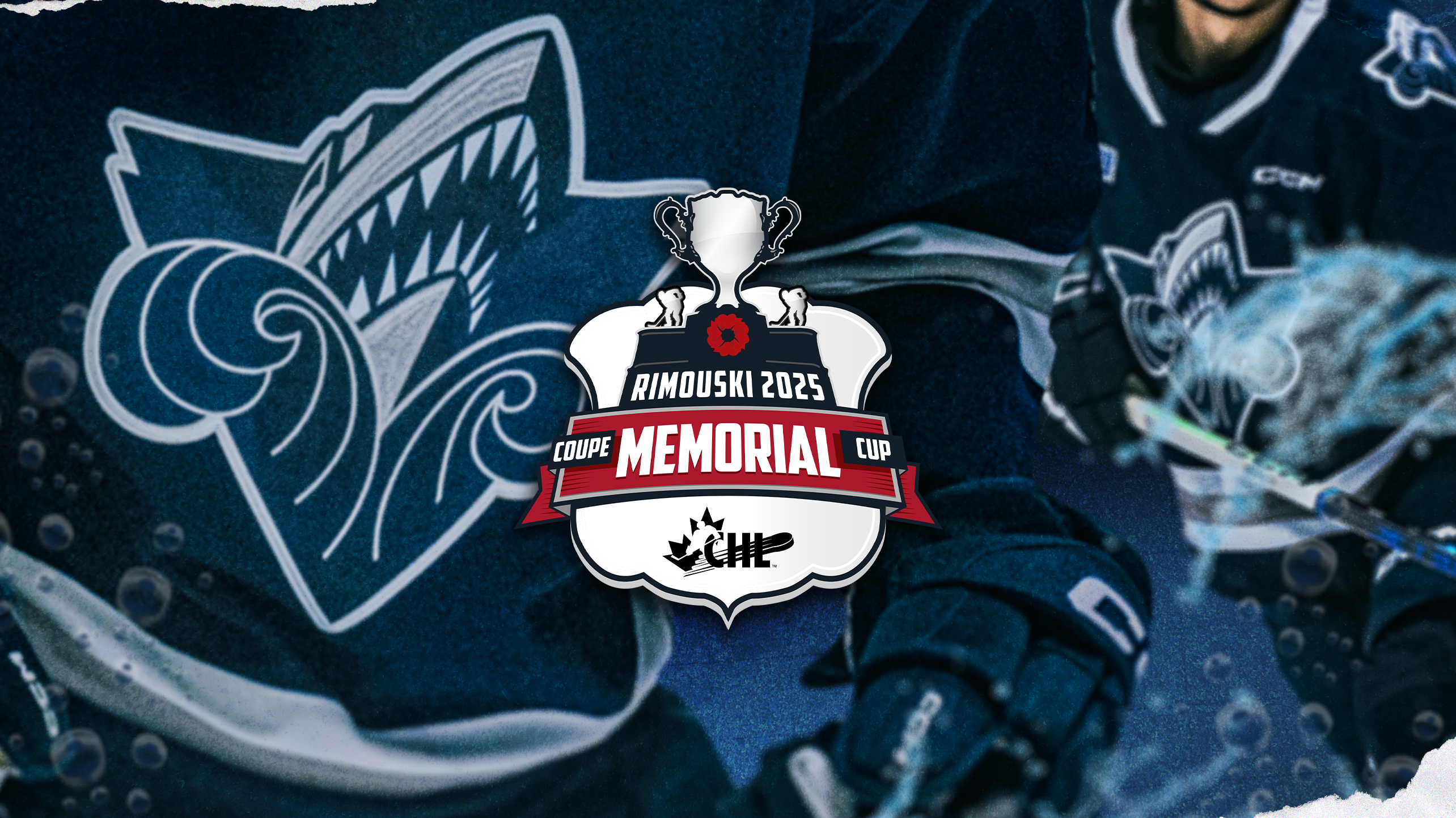 Mem Cup 2568×1444