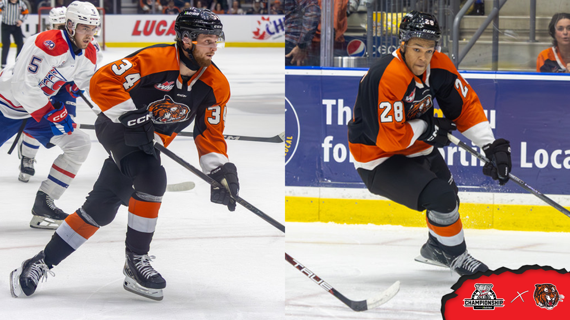 Generic 1920 – Tigers