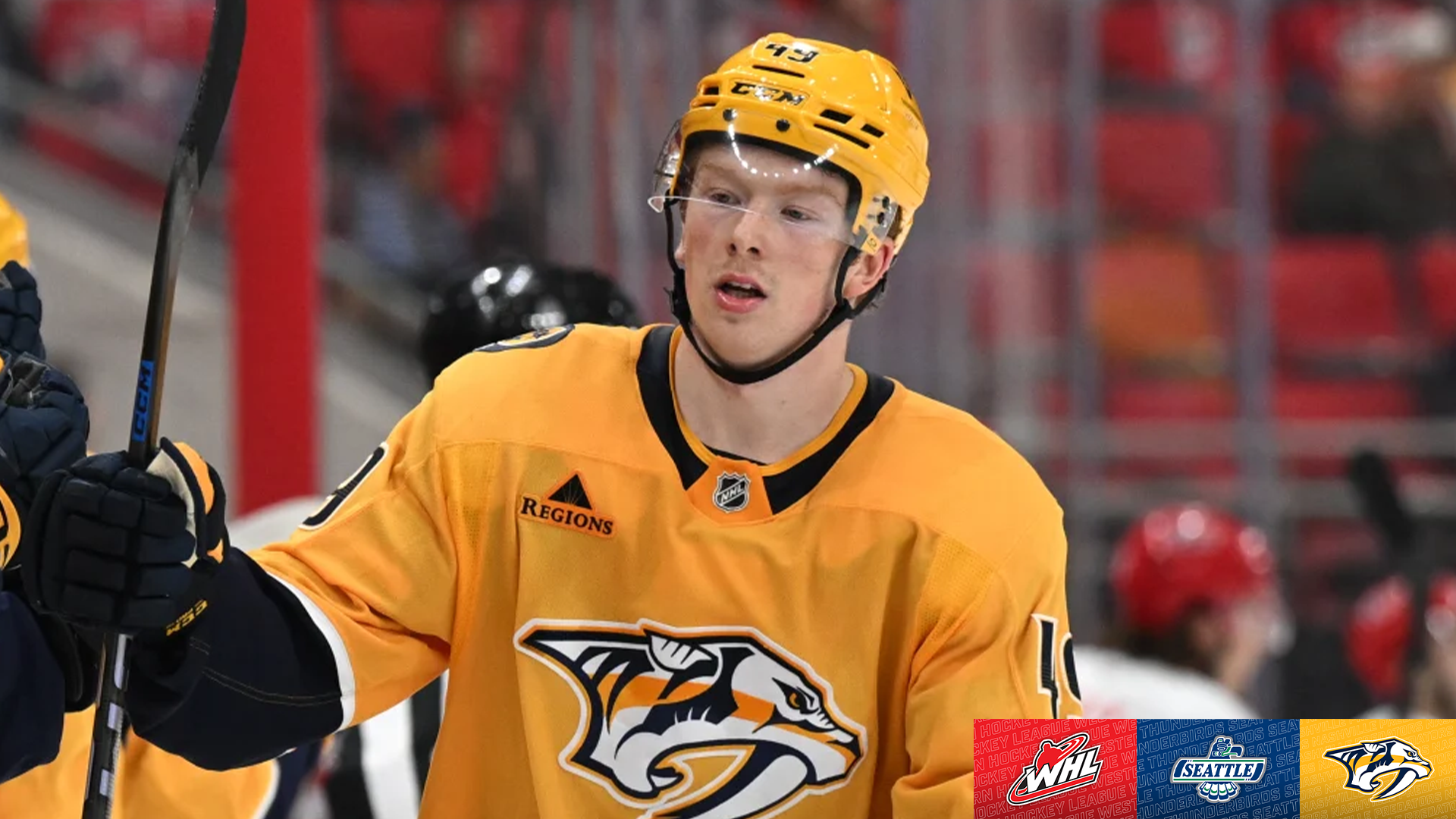 Generic_1920_Schaefer