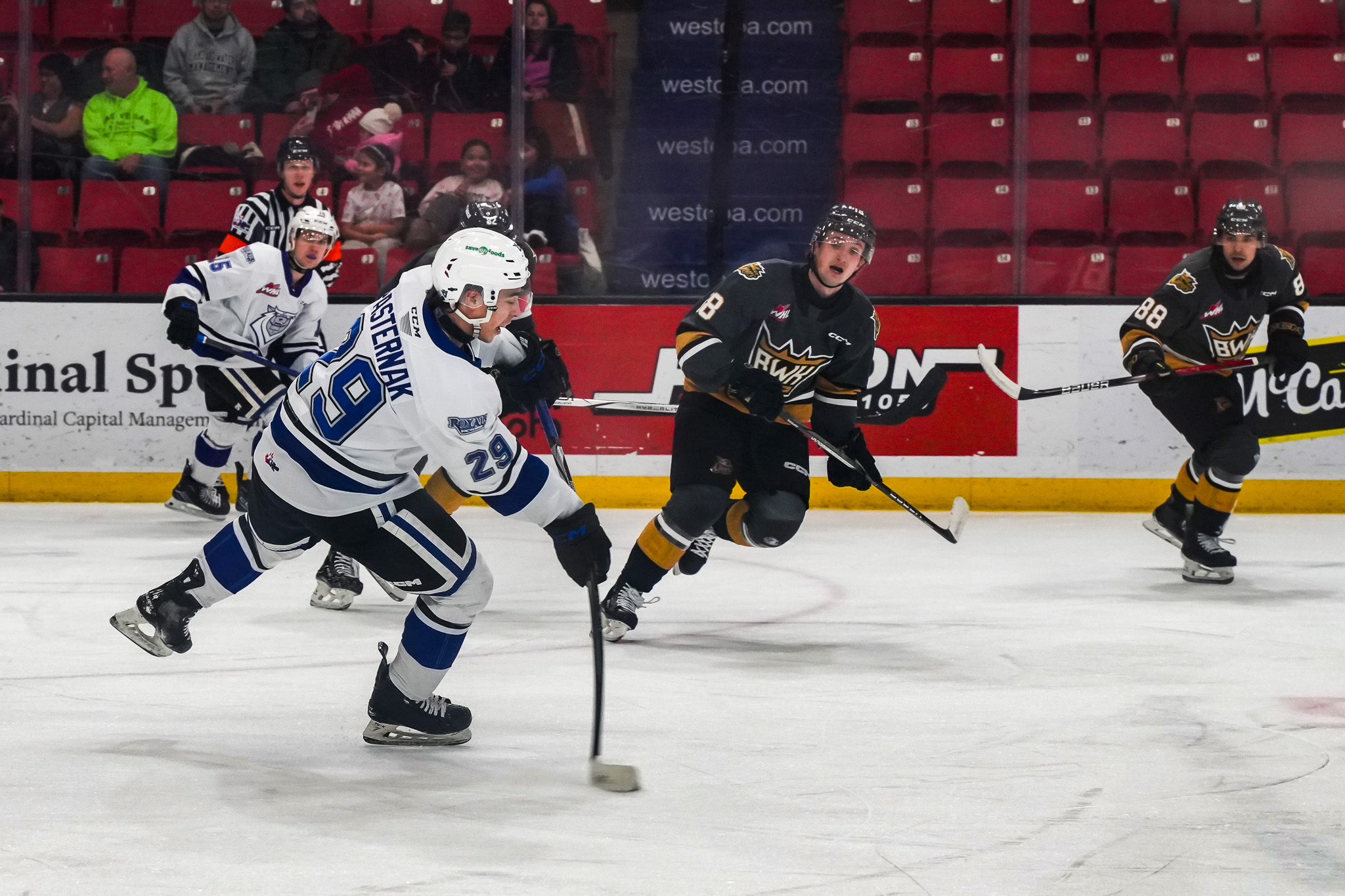 Victoria Royals vs Brandon Wheat Kings: Newman and Hyland Shine in ...