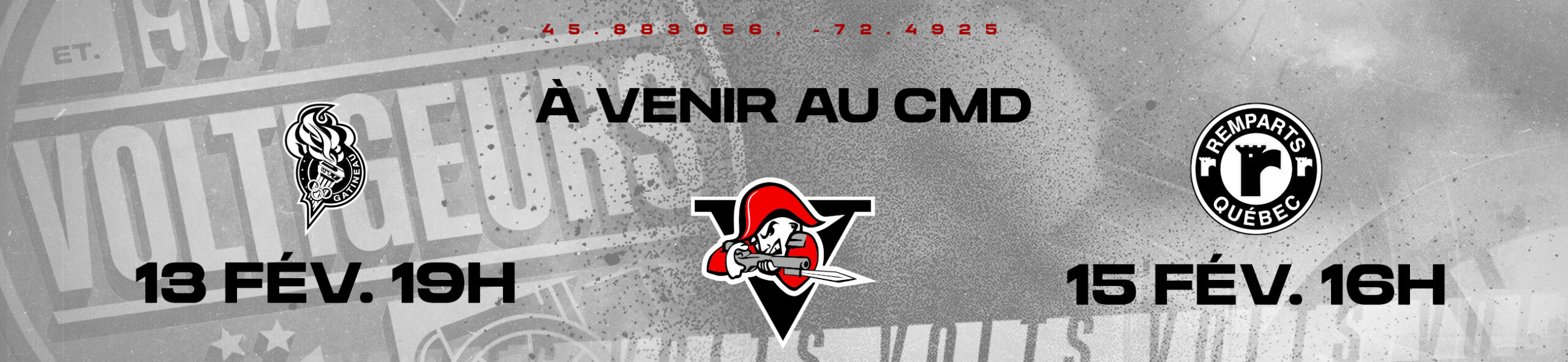 Voltigeurs