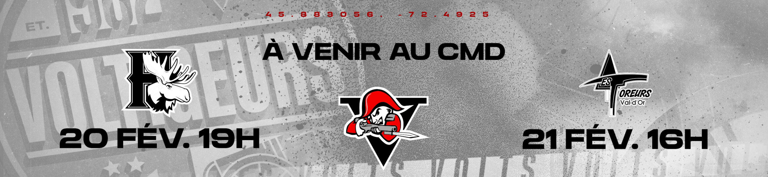 Voltigeurs