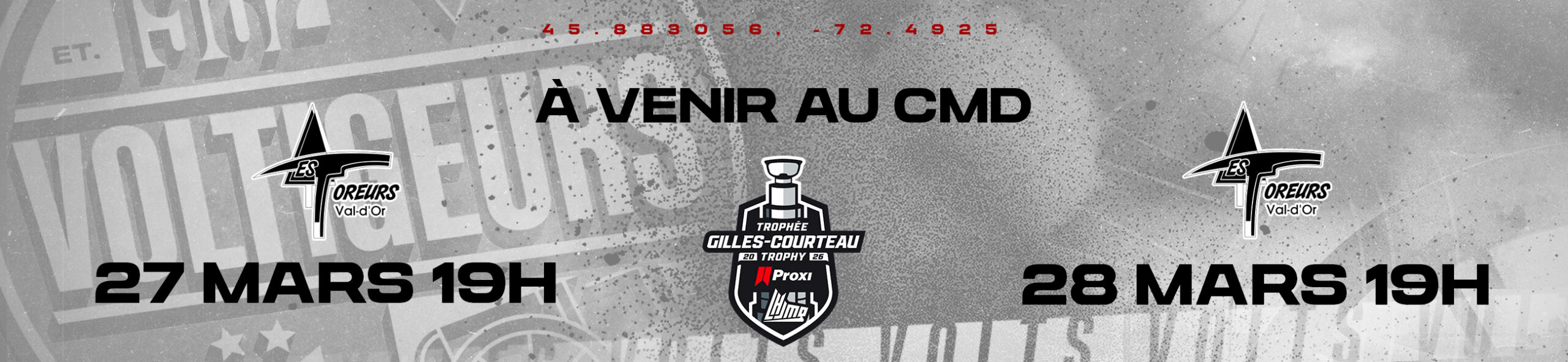 Voltigeurs