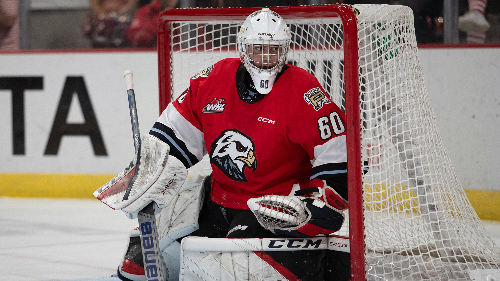 Winterhawks add Nick Avakyan to active roster Portland Winterhawks