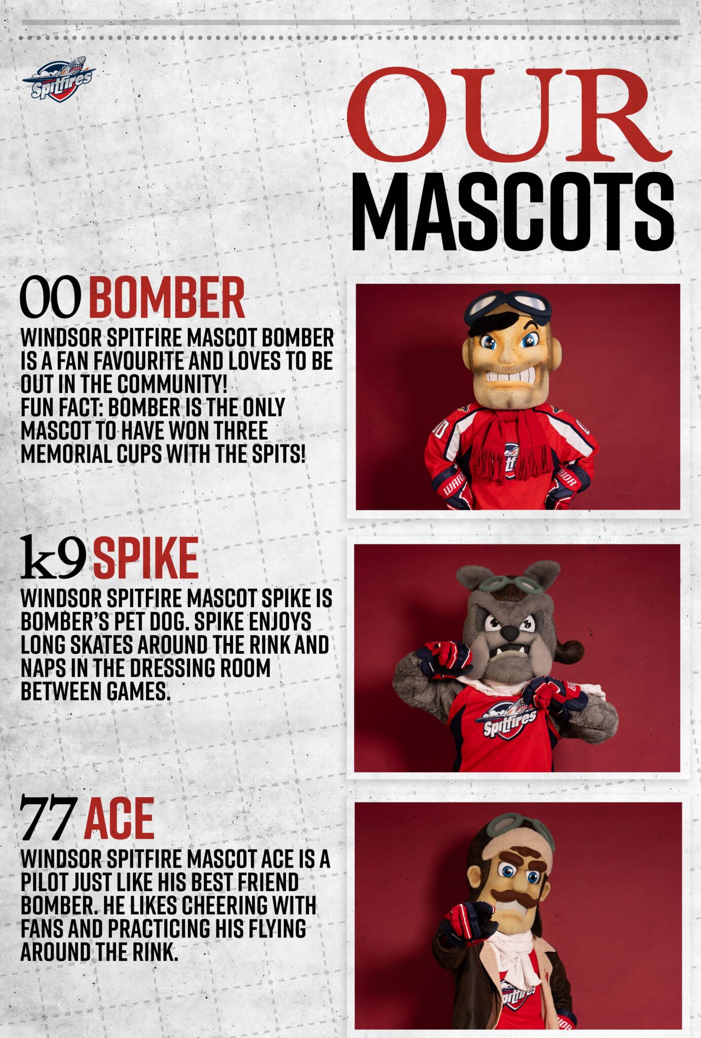 mascots-windsor-spitfires
